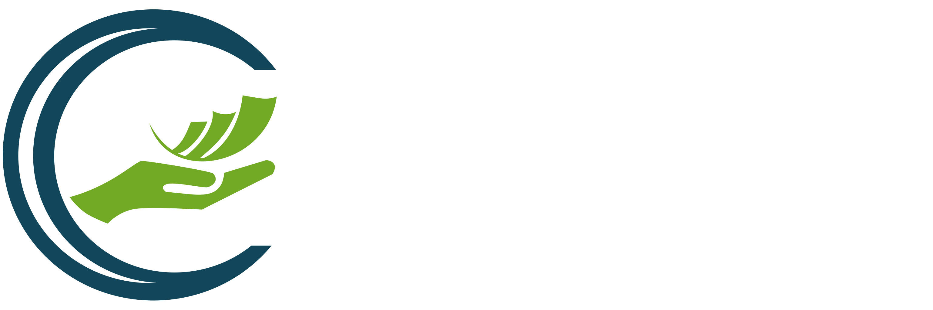 Loannest Financial Solutions1